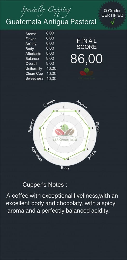 GUATEMALA Genuino Antigua SHB Pastoral - Single Origin - Specialty coffee