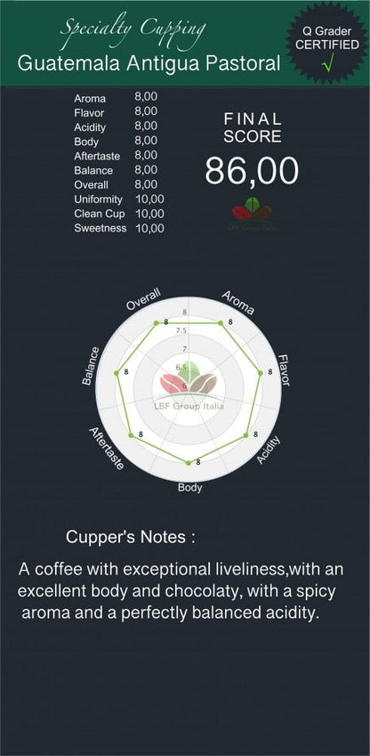 GUATEMALA Genuino Antigua SHB Pastoral - Single Origin - Specialty coffee