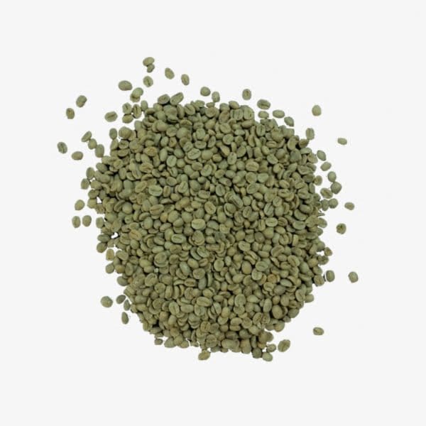 BRAZIL Bourbon Rojo Gourmet - Single Origin - Specialty coffee